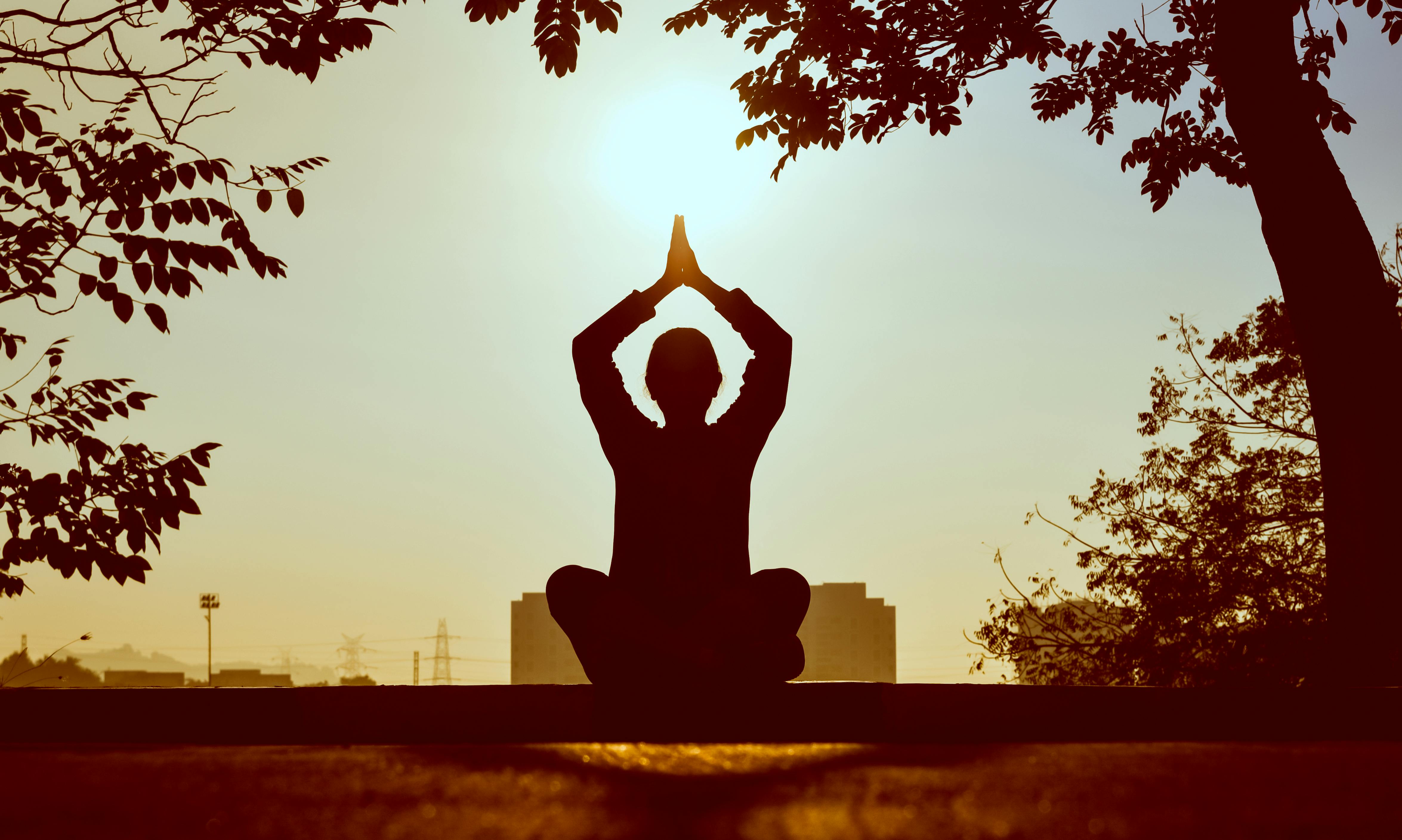 Equilibrio Interiore: La Guida per Chi Cade spesso dal Trampolino della vita (Spoiler: Tutti)
